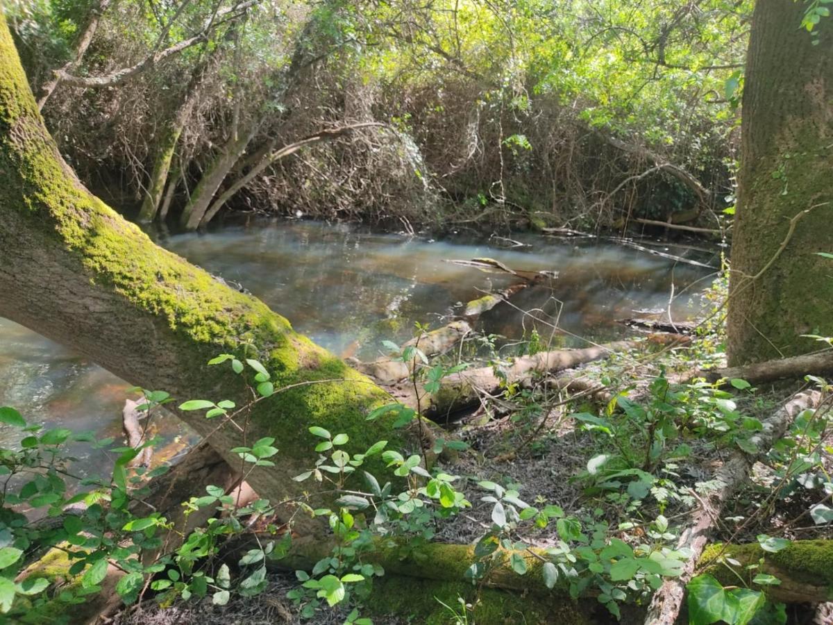 הוילה סאו לואיס Herdade Da Maceira מראה חיצוני תמונה